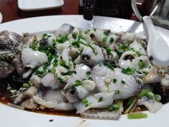 功夫水库罗非鱼-九大簋家宴(晓港湾店)
