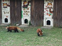 -合肥野生动物园