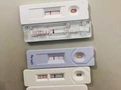 -成都民大动物医院