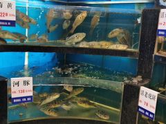 水产区-莆鑫海鲜城(浏河店)