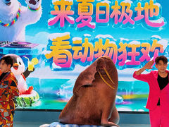 -哈尔滨极地公园