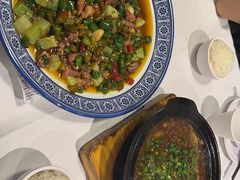 -新蜀会四川豆花(五羊店)