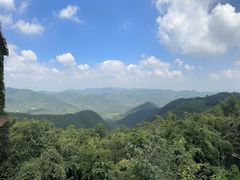 -莫干山风景区