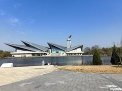 -盐城丹顶鹤湿地生态旅游区