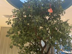 -悦海·家宴·冰花皮皮虾大锅贴(宝龙店)