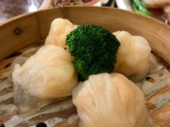 悦雅居虾饺皇-悦雅居·老广州老味道(长湖店)