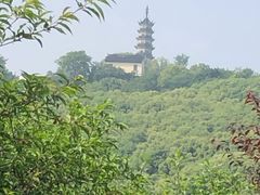 -苏州上方山国家森林公园
