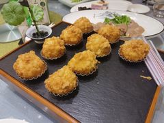 -丁老爷子苏香圆
