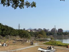 -风云岭森林公园