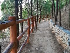 -佛慧山