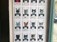 -喵屿·大理花园猫咖