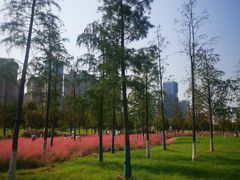 -武昌江滩