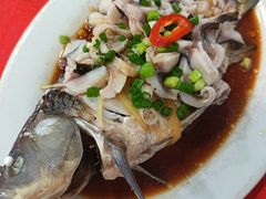 -先鲜鲫鱼粥