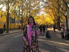 -三里屯东五街银杏大道