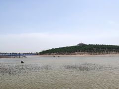 -南大港湿地风景区