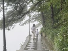 -庐山风景区花径公园