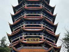 -铁山坪森林公园