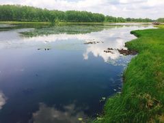 -塞罕坝国家级自然保护区