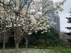 -陆家嘴中心绿地