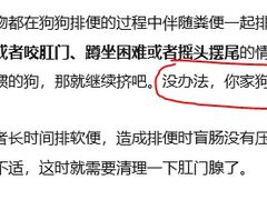 -宠颐生斯嘉宠物医院·急重症·心内科(谷阳北路分院)
