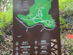 -上海佘山国家森林公园天马山园