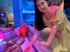 -沈阳海洋探索中心