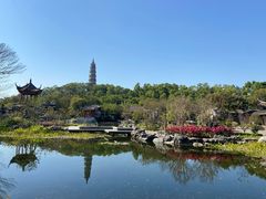 -顺峰山公园