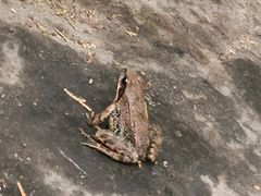 -北京上方山国家森林公园