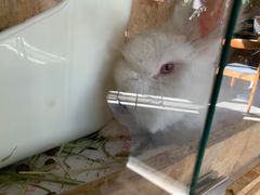 -小意思咖啡店(草桥店)