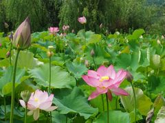 -贵阳蓬莱仙界