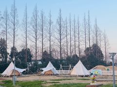 -前小桔亲子创意农场·草莓采摘·露营烧烤