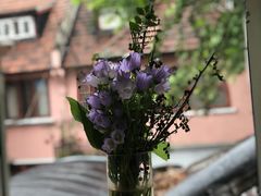 -蝶舍·MAISON PAPILLON