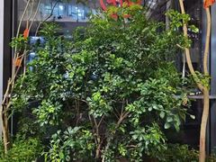 -精德口腔·种植修复·儿牙中心(财富中心店)