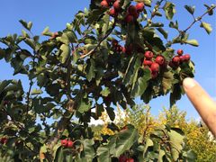 -威海华夏城景区