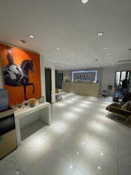 -MIVI野生眉纹绣纹眉