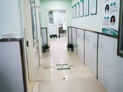 -佳雯宠物医院(金华南路分院)