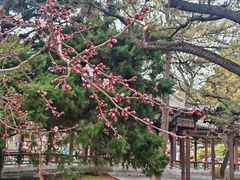 -晋祠公园