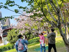 -堤角公园