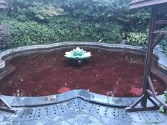 -杭州第一世界大酒店·云曼温泉