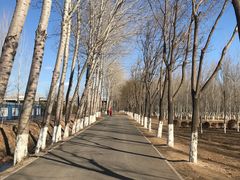 -东郊湿地公园