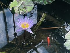 -国家植物园南园