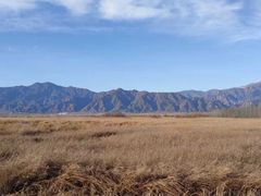 -野鸭湖国家湿地公园