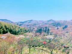 -四明山国家森林公园