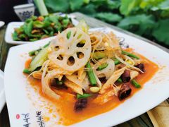 -渭南桃花源民俗文化园