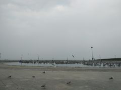 -东港音乐喷泉广场