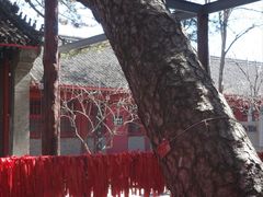 -红螺寺