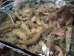 -北海港酒楼 海鲜代加工 粤菜(淡村商贸城店)