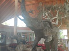 -清迈夜间动物园