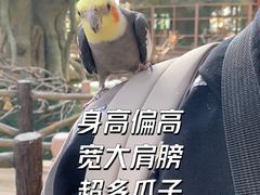 -南宫五洲植物乐园