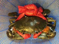 -传统香辣蟹(南园路店)